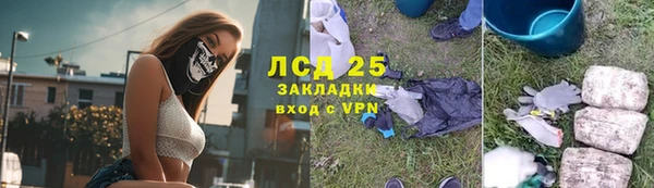 ГАЛЛЮЦИНОГЕННЫЕ ГРИБЫ Баксан